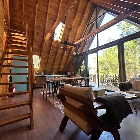 Panurlawoodenhouse Oezel Havuz& Sauna Mavi 外观 照片