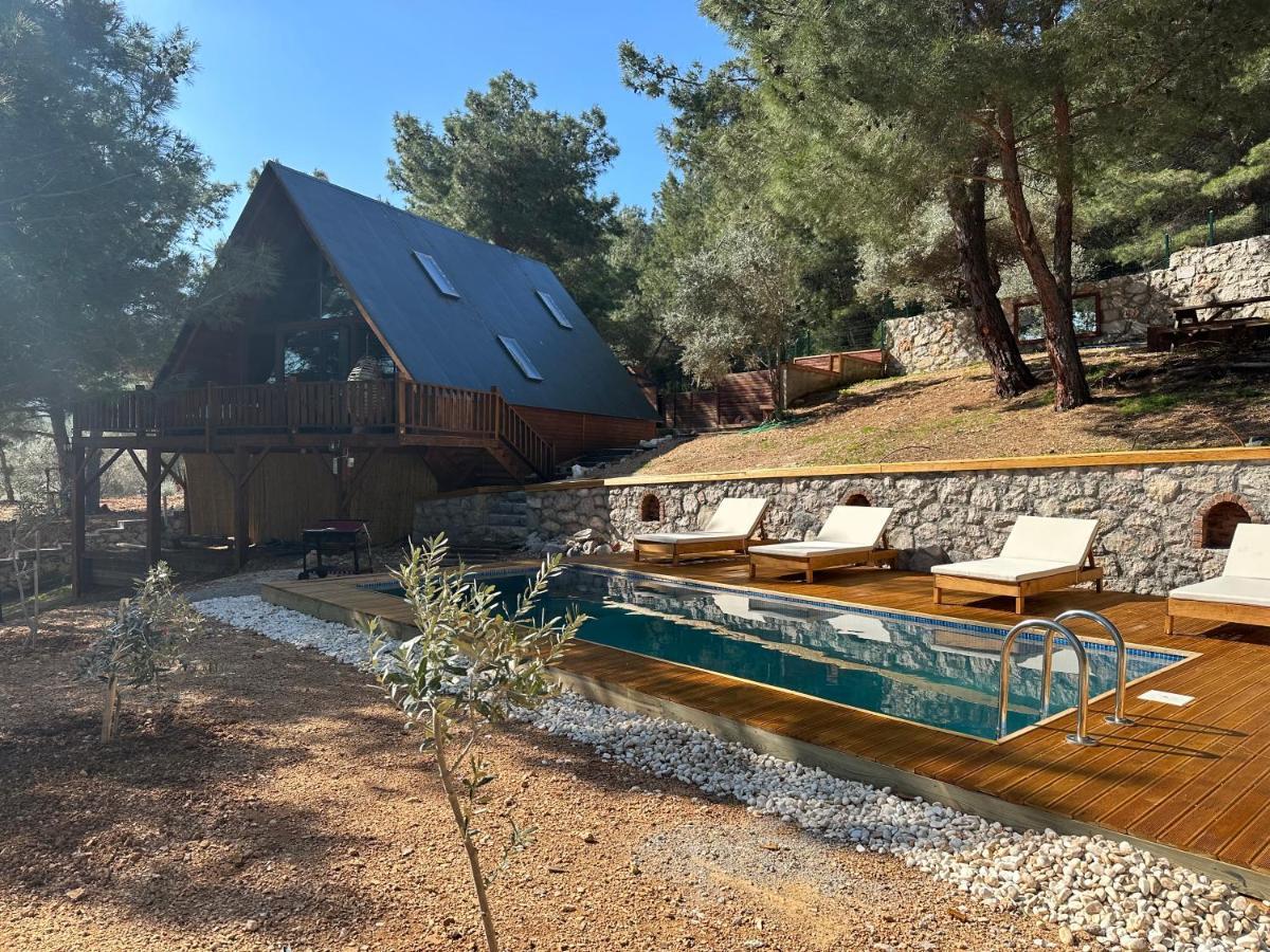 Panurlawoodenhouse Oezel Havuz& Sauna Mavi 外观 照片